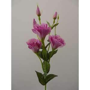 Spray LISIANTHUS 80CM LL - Product Image 1