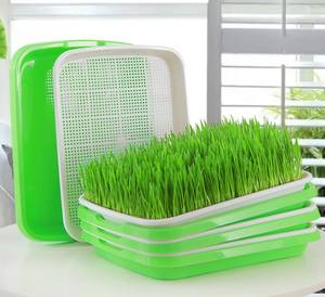 Plateau de semis pour la culture de germes de soja, plateau de germination pour la culture hydroponique de <span class=keywords><strong>l</strong></span>égumes, plateau de drainage pour la germination - Product Image 1