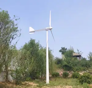 Hot sale ! noise free home use farm low cost 1000w Wind power turbine also called cheap price wind energy generator