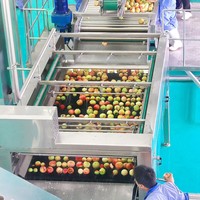 Apple Cider Vinegar Making Machine Apple Azijn Productielijn Sap Pulping En Extractor Juicer Extraheren Fruit Sap 500