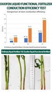 Fertilizzante Liquido Solubile in Acqua Duofen NPK 200-200-200+TE per Frutteto di Agrumi, Periodo di Settazione Frutti, pH 7-9, ISO 9001 - Product Image 6