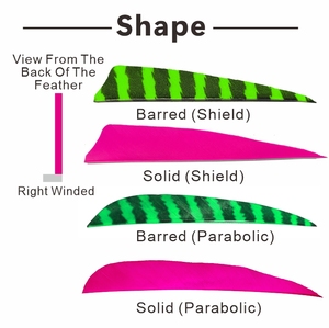 Pluma de tiro con arco de 3 pulgadas y 4 pulgadas, escudo parabólico de ala izquierda y derecha, pluma de Tiro con Arco Natural con barras sólidas - Product Image 3