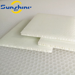 In fibra di vetro pp a <span class=keywords><strong>nido</strong></span> <span class=keywords><strong>d</strong></span>'<span class=keywords><strong>ape</strong></span> pannello sandwich foglio di nucleo - Product Image 2