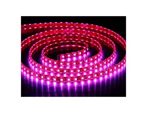 Led Strip Decoration Outdoor SMD 5050 14.4W RGB Led Flexible Waterproof Strip