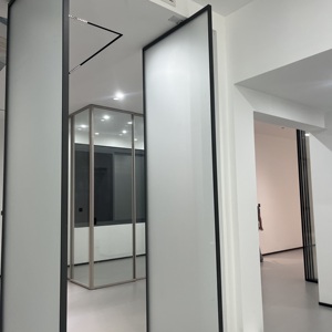 Panel de Vidrio Hueco Personalizado para Oficina, Insonorizado, con Doble Acristalamiento, para Sala de Reuniones, Ventanas Modernas de Aluminio - Product Image 4