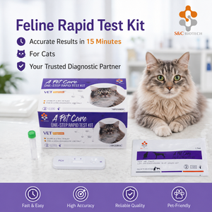 Kits <span class=keywords><strong>de</strong></span> Prueba Rápida <span class=keywords><strong>de</strong></span> Antígenos para Gatos FCV (Virus Calicivirus Felino), Pruebas Veterinarias - Product Image 2