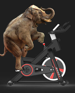 <span class=keywords><strong>Bicicleta</strong></span> Estática de Spinning BunnyHi DGDC034 para Gimnasio y Fitness, <span class=keywords><strong>Bicicleta</strong></span> Fija para Ejercicio en Interiores - Product Image 4