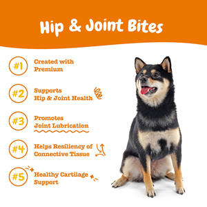 OEM/ODM Köpek ve Kedi Kalça Eklemi Takviyesi Glukozamin Kondroitin MSM Eklem Ağrısı Giderici |   Mobility Çiğneme Vitaminleri C + E Tahılsız - Product Image 2