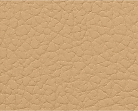 MB-06 Desert Dust 13-1018 TPG