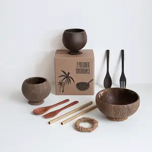 Wholesale Eco Friendly Gift Natural Custom Logo Salad Ice Cream Coconut Shell Bowl Spoon Fork Straw Set With Box