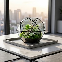 Vas Tanaman Sukulen Mini Terarium Kaca Geometris Wadah Lanskap Mikro Grosir Pesanan Campuran Dekorasi Meja Rumah