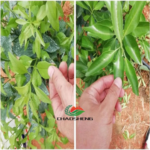 <span class=keywords><strong>Herbicida</strong></span> Selectivo Carbamato. Semivida útil corta del suelo. Seguro <span class=keywords><strong>para</strong></span> Cultivos de Seguimiento. Suministro Directo de Fábrica. - Product Image 3