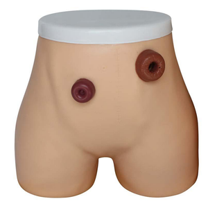 Advancd con người giải phẫu LỖ RÒ <span class=keywords><strong>ostomy</strong></span> đào tạo manikin y tế mô hình điều dưỡng cho y tá - Product Image 2