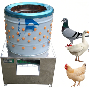 Máquina Desplumadora <span class=keywords><strong>de</strong></span> Aves <span class=keywords><strong>de</strong></span> Corral Tipo Tambor <span class=keywords><strong>de</strong></span> Alta Eficiencia con Motor, Capacidad <span class=keywords><strong>de</strong></span> 600bp/h para Procesamiento <span class=keywords><strong>de</strong></span> Carne <span class=keywords><strong>de</strong></span> Aves - Product Image 1