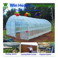 Ensemble complet de serre fabriqué en usine Film de tunnel agricole haute résistance Polytunnels transparents en plastique pour serre