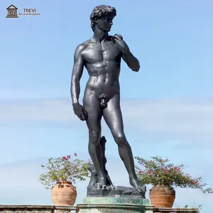 Bahçe açık yaşam boyutu Metal zanaat bronz David Statue heykeli heykel