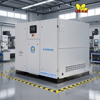 Compresseur d'air scroll sans huile refroidi par air de 3,7 kW, 7,5 kW, 11 kW, 15 kW, 22 kW, 30 kW avec moteur à roulement 8-10 bars pour usage en laboratoire médical
