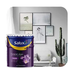 Salux通用清洁水性室内建筑涂料涂料墙面艺术加马马津墙面涂料
