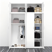 Armoire de chambre moderne pour garçons et filles, armoire de rangement de vêtements à 2 portes coulissantes, motif imprimé, armoire en acier, Lemari Pakaian Besi