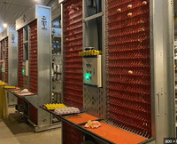 Système d'alimentation automatique de type H pour cages à poules pondeuses en batterie
