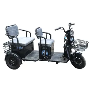 Triciclo elétrico de dupla utilização para transporte doméstico, carro com bateria, mini pequeno, para idosos com deficiência, lazer duplo