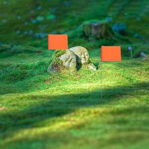 Staf halaman baja dapat digunakan kembali tahan air tahan pudar Ideal untuk latihan anjing/bidang olahraga/rute penggalian bendera penanda - Product Image 4