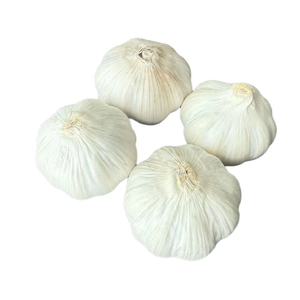 <span class=keywords><strong>Ail</strong></span> blanc normal frais chinois de bonne qualité pour l'Europe Légumes en gros à bas prix Fresque populaire Alho au Brésil - Product Image 6