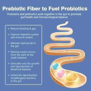 Cápsulas prebióticas probióticas Suplemento nutritivo Soporte Digestivo Salud inmunológica Mejora el equilibrio del microbioma intestinal - Product Image 5