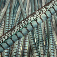 Plumes artificielles en vrac de faisan Lady Amherst pour accessoires vestimentaires, fête d'Halloween, artisanat et décoration de fêtes
