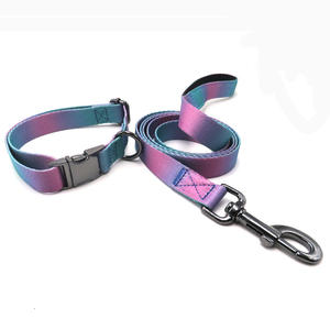 Desainer gesper logam nilon kerah anjing dan Set tali dengan Logo cetak pelangi renda <span class=keywords><strong>Premium</strong></span> kecil sedang kerah anjing besar - Product Image 3