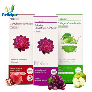 Integratore Dimagrante in Stick con Etichetta Privata, Semi di Chia, Collagene, Garcinia Cambogia HCA per la Bellezza della Pelle e il Controllo del Peso Femminile - Product Image 1