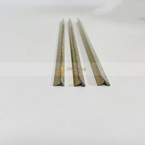 โปรไฟล์รูปตัว T สแตนเลสสตีลทันสมัย EX467 สำหรับตกแต่งภายในโรงแรมและงานตกแต่งเชิงพาณิชย์ - Product Image 1