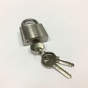 Cadenas de porte en acier inoxydable avec garantie d'un an, installation facile, design traditionnel pour usage extérieur - Product Image 4