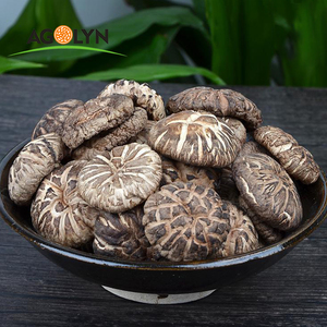Mycélium de champignon Shiitake séché, <span class=keywords><strong>prix</strong></span> avantageux, fabriqué en Chine - Product Image 5