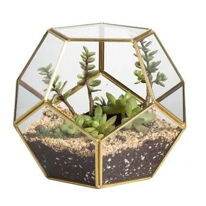 Dekorasi Meja Miniatur Taman Rumah Pot Bunga Pentagon Kecil Bentuk Sepak Bola Penanam Terarium Kaca Geometris Emas Hitam