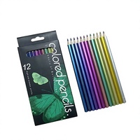 Crayons de couleur FSC& EN71& BSCI, 12 couleurs, personnalisation en usine, crayons de peinture métalliques, ensemble d'art professionnel, ODM/OEM