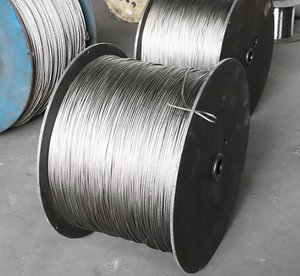 थोक 316 स्टेनलेस स्टील तार रस्सी 0.5-12m1*19 ब्रेक और थ्रॉटल केबल स्टील केबल केबल स्टील केबल तार स्पॉट - Product Image 6