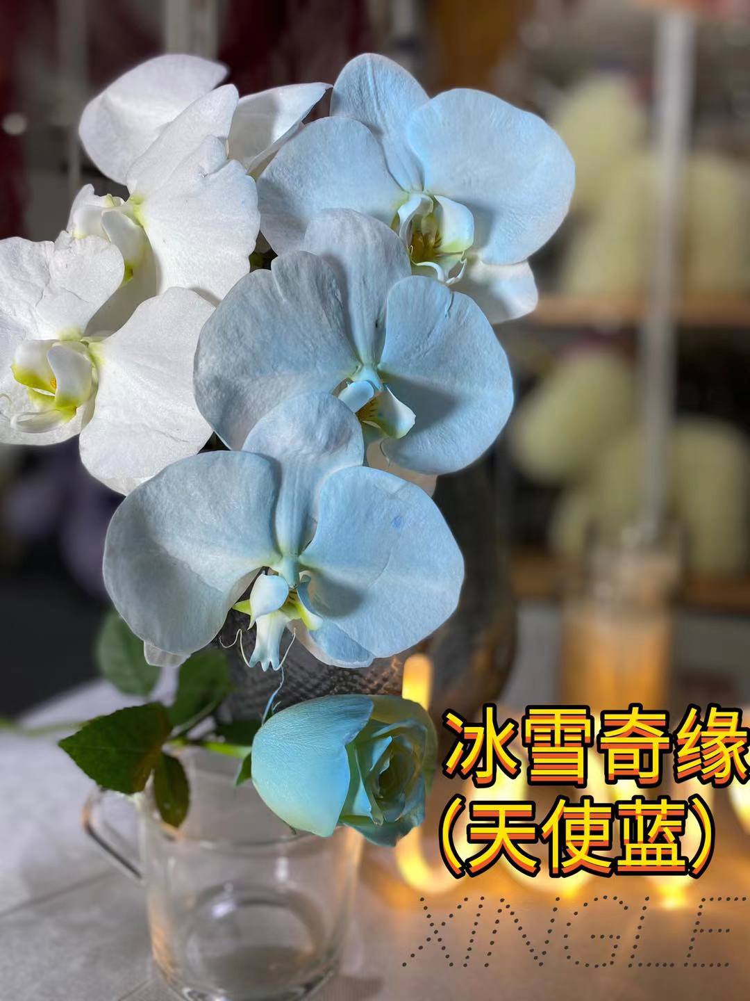 Grande bottiglia angelo blu congelato