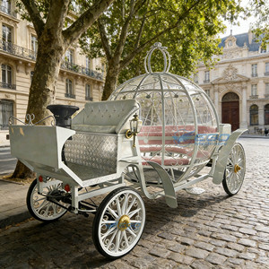 Carruaje de Caballos Retro de Alta Calidad, Carruaje Blanco con Diseño de Calabaza, Personalizado para Princesas, para Cine, Parques y Eventos - Product Image 3