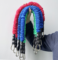 Bande de résistance Gymarts avec ancre de porte et sangle de cheville pour entraînement à domicile
