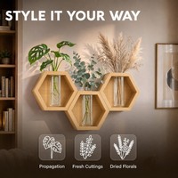 Vase mural hexagonal en bambou pour plantes, support de propagation hydroponique en verre, vente en gros, OEM ODM, personnalisable, mini format