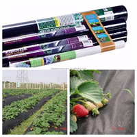 Tissu non tissé PP Spunbond Feuille de contrôle des mauvaises herbes noire Weedmat Rouleaux non tissés filés