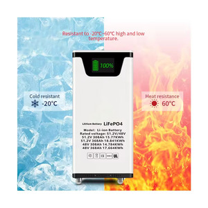 LiFePO4 Lithium Ion Battery 51.2V 300Ah 15.36KWh Home Solar <b>Energy</b> <b>Storage</b> <b>System</b> Pack - Product Image 5