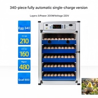 EJIN Incubateur Industriel à Température Constante de Haute Qualité pour l'Éclosion des Œufs, Machine à 200 Œufs, 110V/220V, PLC, Garantie 1 An