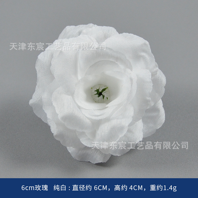 6cm rose, pure white