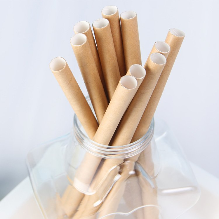 Compostable Biodegradable Recyclable Disposable Paper Straw with Cup Customized Color & Logo for Coffee Tea Juice Beverage Party