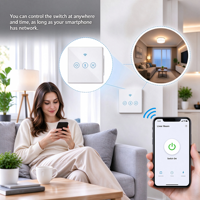 Interrupteur intelligent Wi-Fi 2,4 GHz pour rideaux, norme UE, faible MOQ, contrôle vocal via l'application Smart Life, 10A 2200W pour la domotique