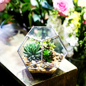 Terrario de vidrio con forma hexagonal para decoración navideña, florero decorativo para mesa y oficina, terrario para plantas - Product Image 1