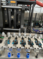 Máquina de Moldeo por Soplado de PET Automática de Alta Velocidad de 6 Cavidades con Motor Servo Rápido para Botellas de Bebidas