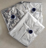 Sac en plastique PE aseptique de 220 L, récipient stérile pour la pâte de tomate, 5-200 L en fût, emballé dans une boîte